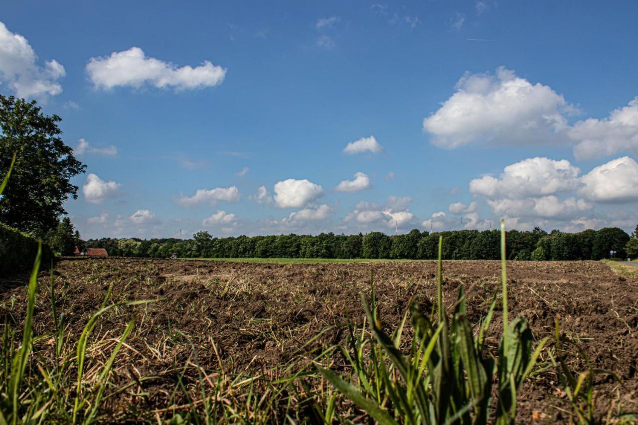 De Lammersdamhoeve Wingene Luaran gambar
