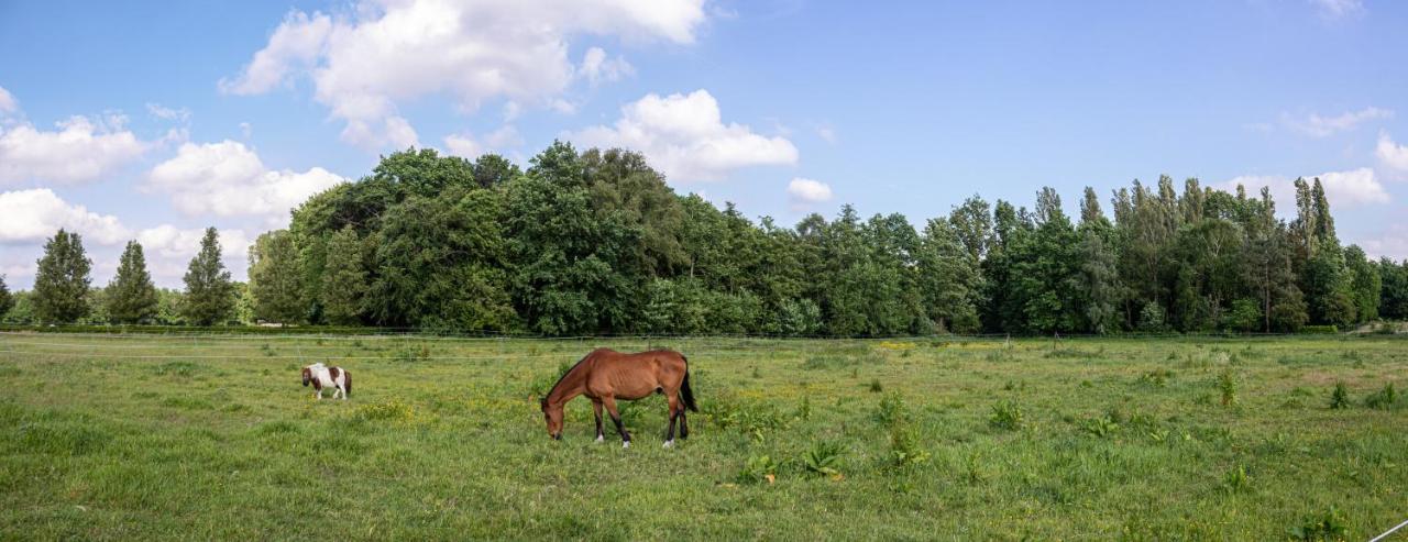 De Lammersdamhoeve Wingene Luaran gambar