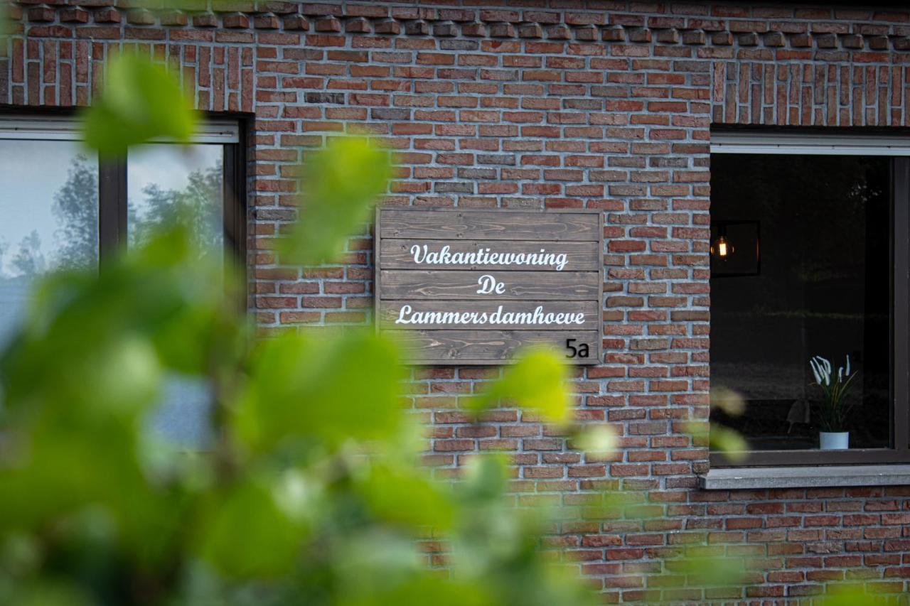 De Lammersdamhoeve Wingene Luaran gambar